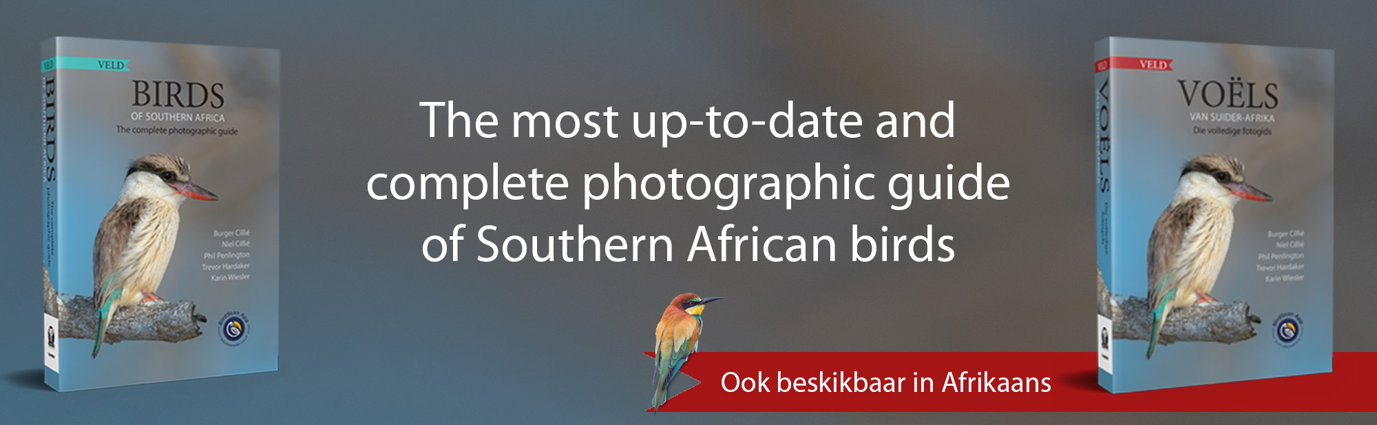 AUG 2022 Veld Birds of Southern Africa