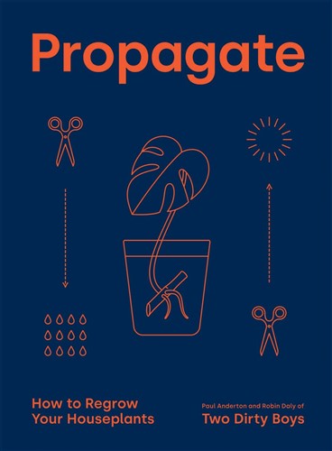 Propagate: How to Regrow your Houseplants